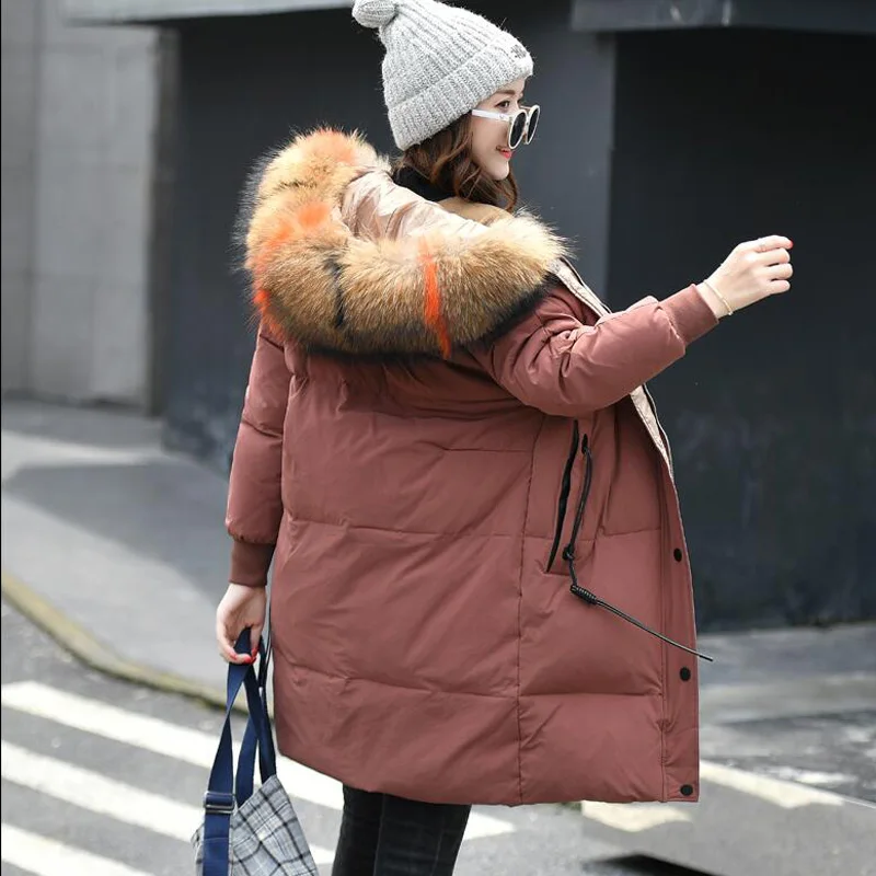 camel Canard D'hiver Femmes Duvet Beige Manteau Raton noir Taille Plus Capuche Col Parka 90Blanc Épais 2018 100Grand Fourrure ardoisé De Femme À Veste Laveur 5xl Yyf6mIbg7v