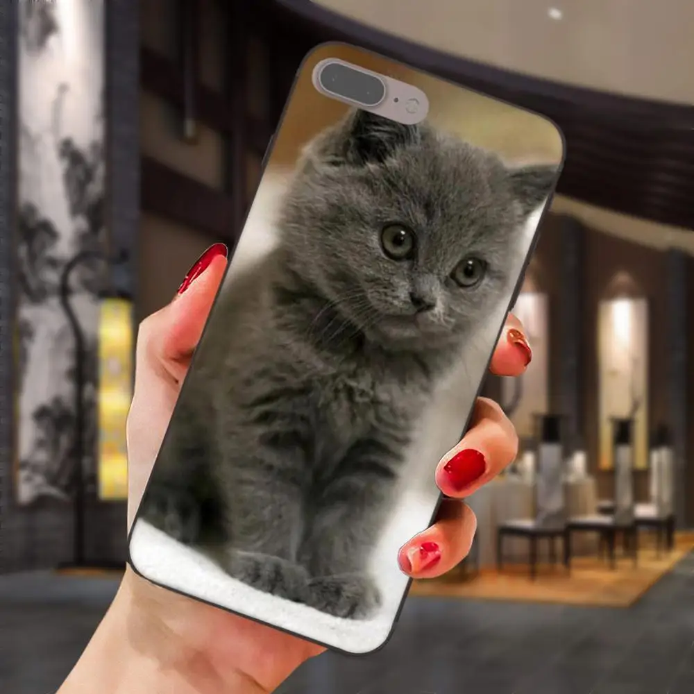 Серая кошка с Zenit камерой для Huawei Honor 5A 6A 6C 7A 7C 7X 8A 8C 8X 9 10 P8 P9 P10 P20 P30 Mini Lite Plus мягкая