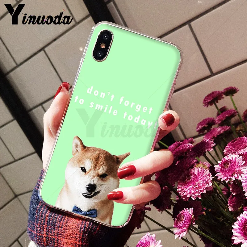 Animal Shiba Inu