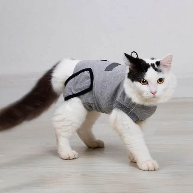 Cat Clothes Recovery Suit For Cat Sterilization Care Wipe Medicine ...