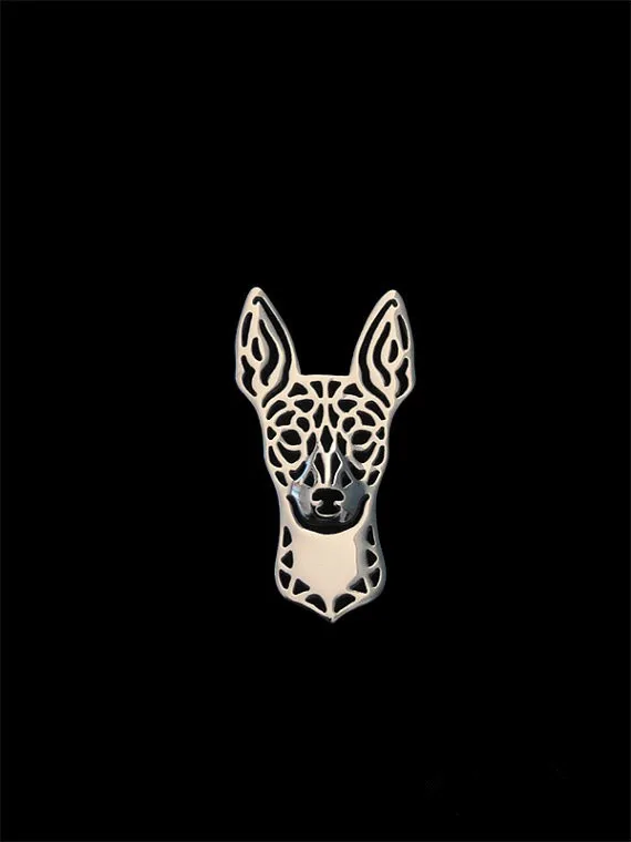 Rat Terrier 2