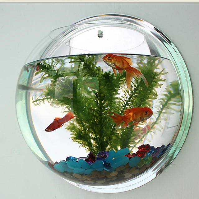 2018 Pot Plant Wall Mounted Hanging Bubble Bowl Fish Tank Aquarium 2018 Pot Plant Wall Mounted Hanging Bubble Bowl Fish Tank Aquarium Home Art Decor Set Clear