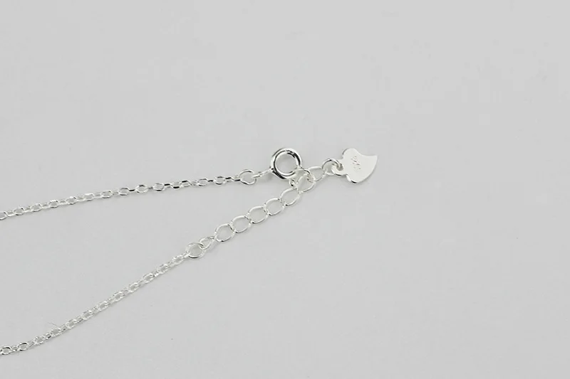 4061324002_392500289