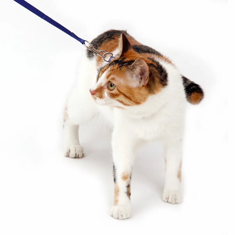 Freeshipping Pet Ttraction Rope Cat Rope Chest Suspenders Traction Belt