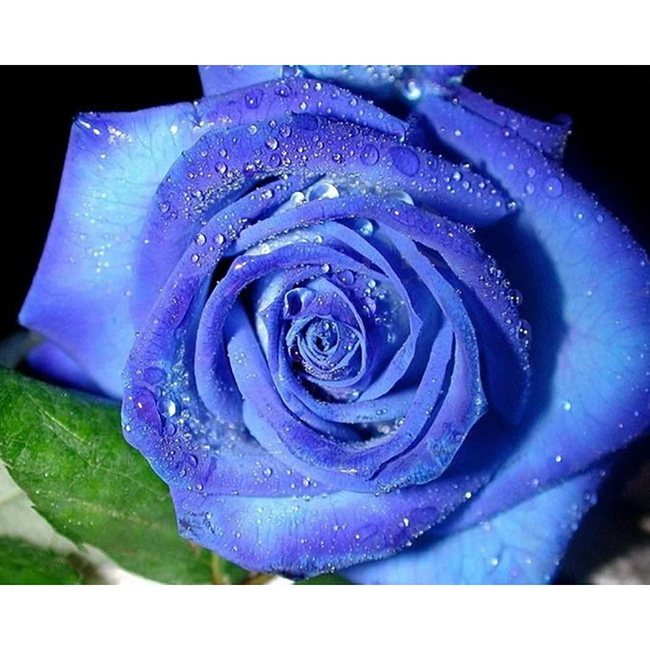 

Sashiko Flowers Diamond Painting DIY 5D Full Round/square Cross Stitch Diamond Embroidery Patterns Home Decor Painting