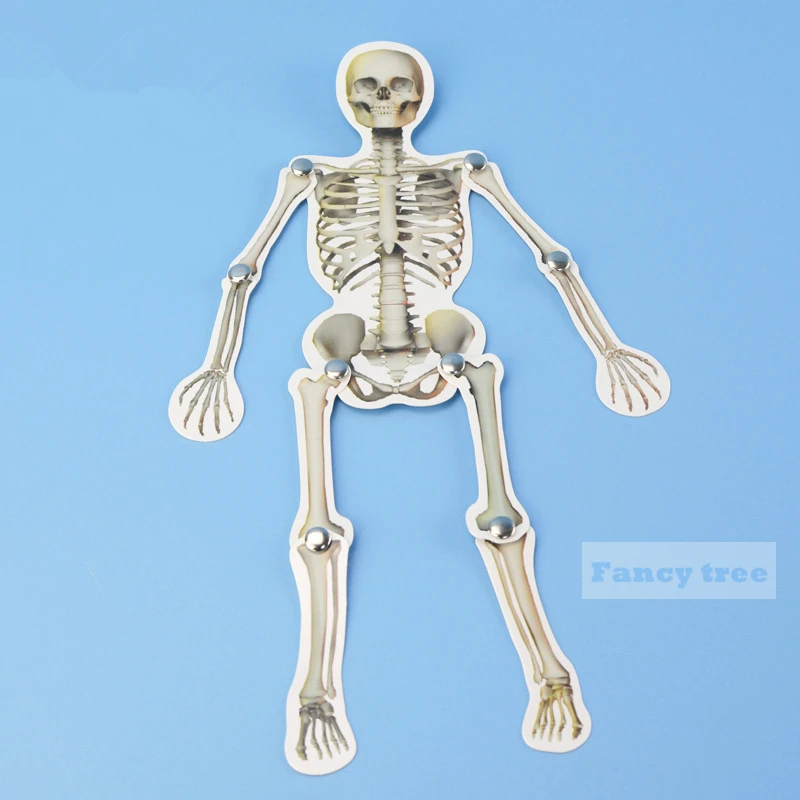 DIY кости человека модель подвижные бумажные соединения строительные наборы головоломки Обучающие инструменты танцы кости для детского образования