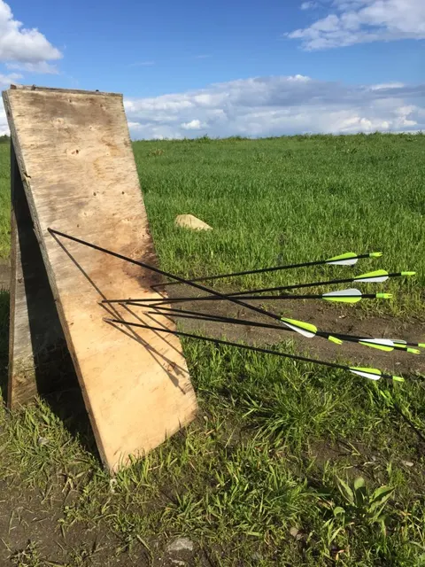 Fiberglass Arrows Length 79cm Spine 700 OD 7mm 6/12/24PCS For Hunting Shooting Outdoor 5