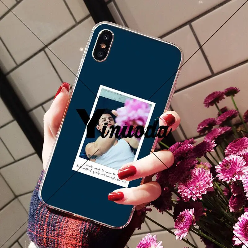 Hit pop singer Shawn Mendes love