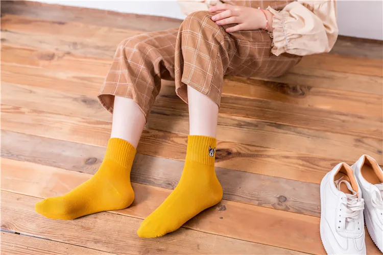 socks 14