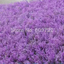 25X25 см пластик Искусственный Лаванда газон завод Рождество Свадьба домашний сад декор фиолетовый FL1586