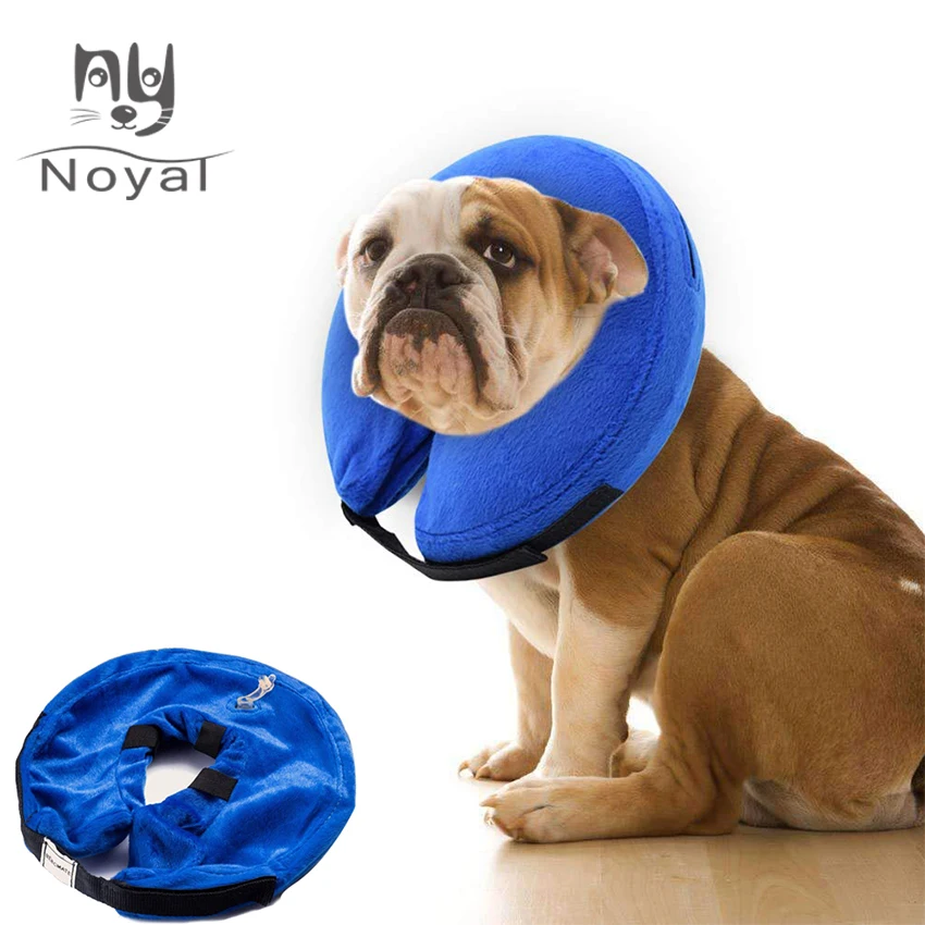 Dog Inflatable Collar Protective Neck Soft Pet Puppy Wound Healing Protective Dog Collar Anti-bite PVC Comfortable Pet Products