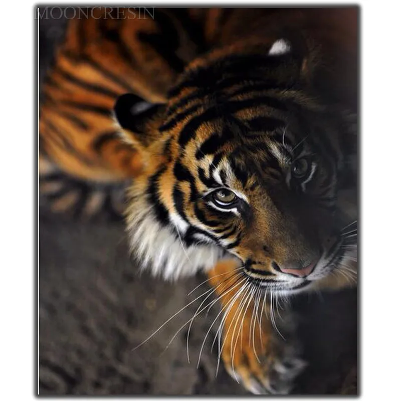 

5D Diy Diamond Painting Cross Stitch Tiger Lying On The Ground Needlework Diamond Embroidery Full Round Mosaic Decoration Resin