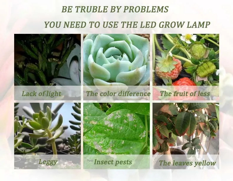 TB2SVVqaVXXXXbxXpXXXXXXXXXX_!!2672620943