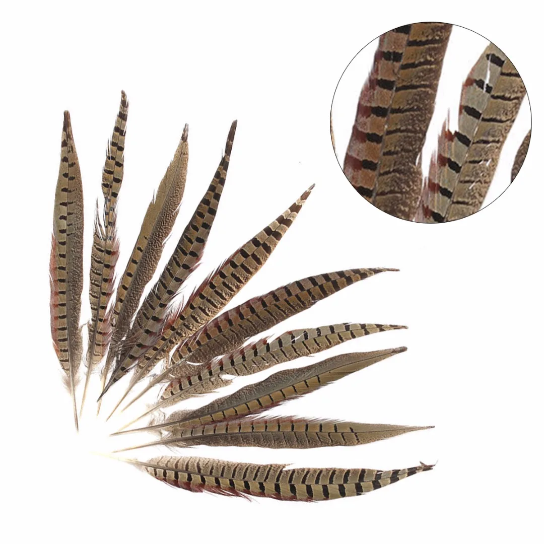 Mayitr 10pcs/set Natural Pheasant Feathers 30-35cm 12 - 14 Inch Amherst Chicken Tail Feathers For Costume DIY New Arrival