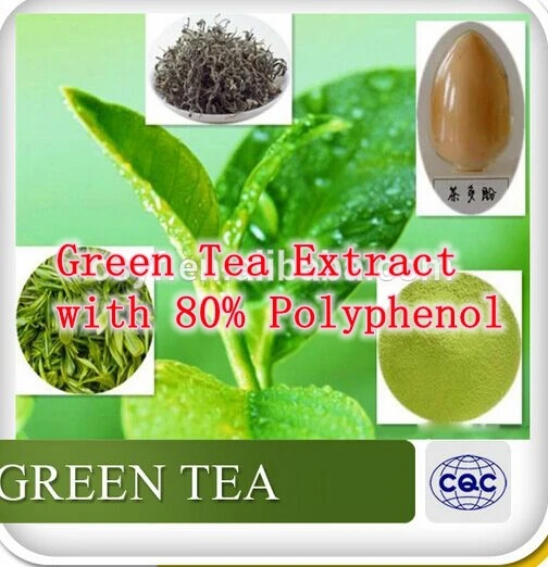 

1 Bottle High Quality Green Tea Extract with 80% Polyphenol 90caps free shipping