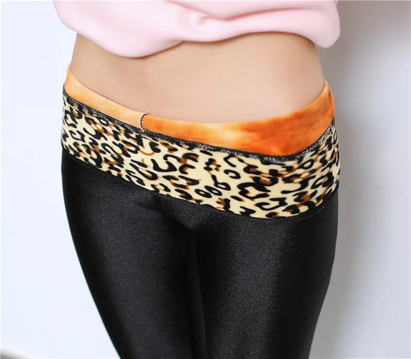 3309081773_1629846007