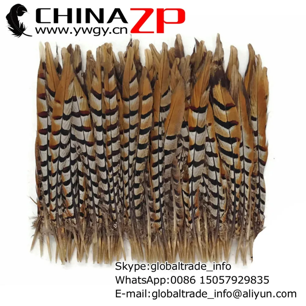 

CHINAZP Factory 50pcs/lot 25-30cm Length Exporting Good Quality Natural Reeves Venery Pheasant Tail Feathers