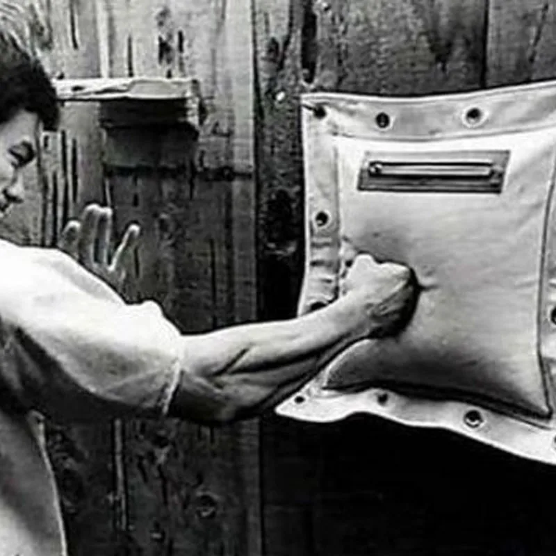 bruce lee wing