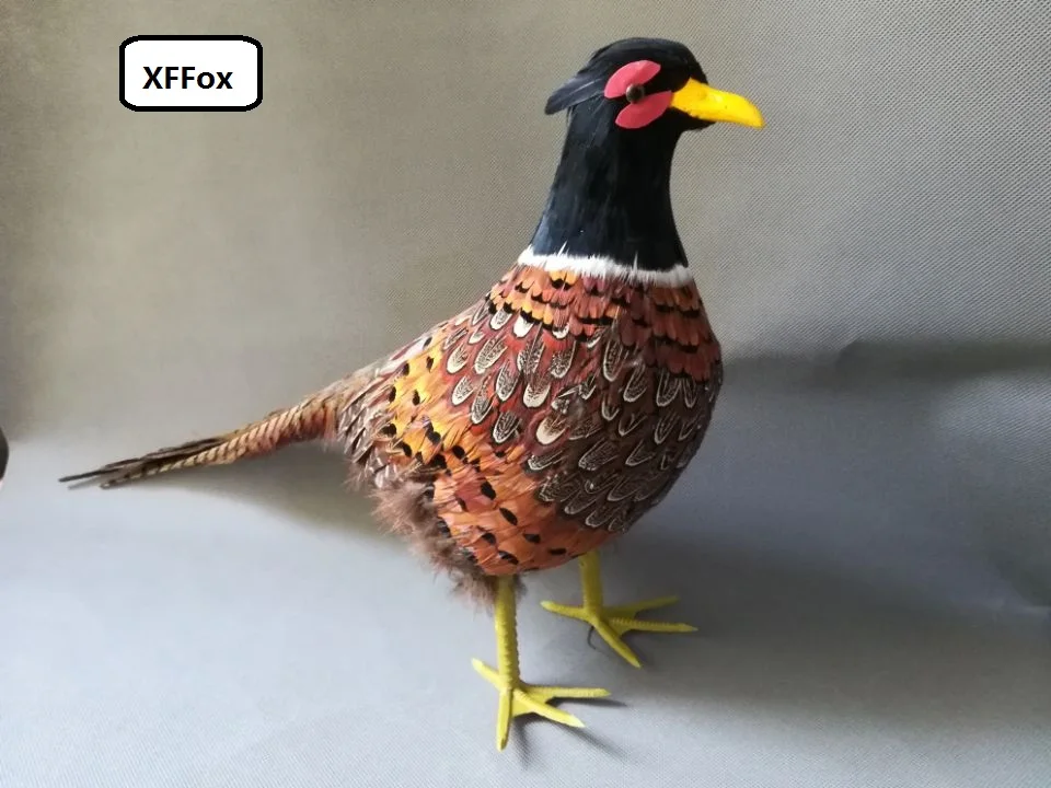 

new real life pheasant model foam&feather simulation colourful bird gift about 60x40cm xf0779