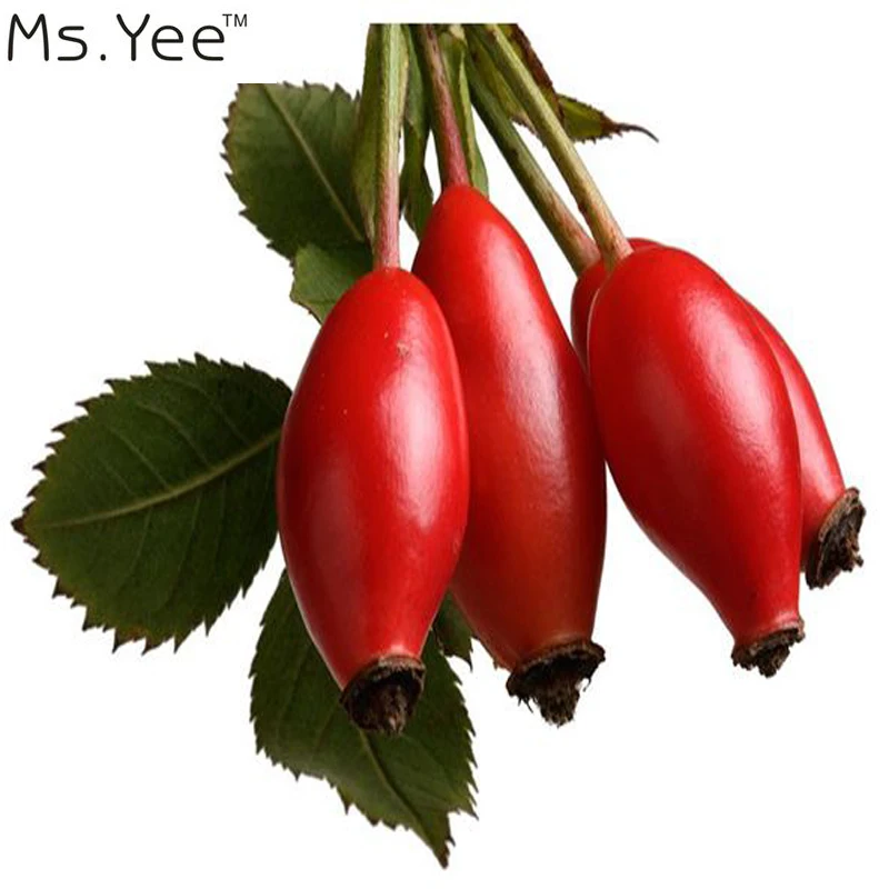 Beli Minyak Rosehip 100% Murni Organik Terbaik Pelembab untuk Menyembuhkan Kulit Kering   Garis Halus Perawan Rose Biji Minyak kulit Wajah Pijat