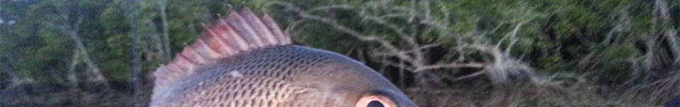DW32-Y_45