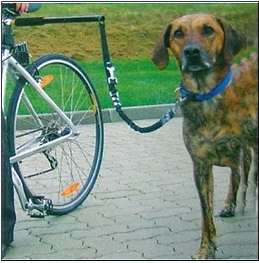 dog leash holder for bike