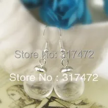 16*4 мм AAA стеклянная Goble стеклянная подвеска-пузирек& колпачок& Серьга крюк DIY Стеклянная лампочка висячие серьги