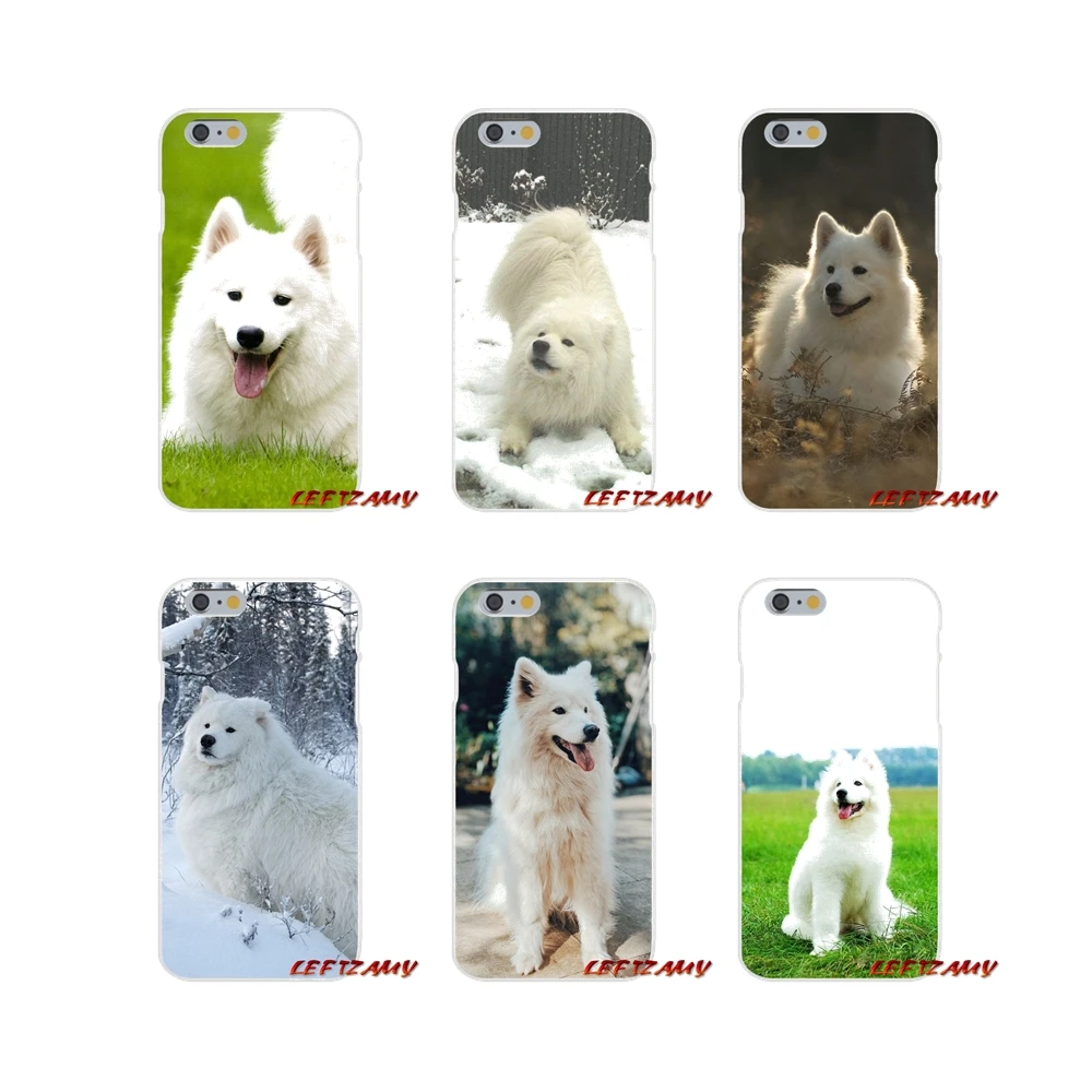 Прекрасный Samoyed собака для iPhone X XR XS MAX 4 4S 5 5S 5C SE 6 6S 7 8 Plus ipod touch Аксессуары чехлы