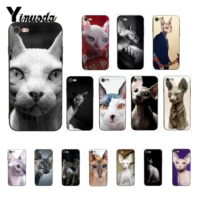 Мягкий чехол для iphone 12 8 7 6 6S 6Plus 5 5S SE XR X XS MAX Coque Shell 12mini|Бамперы| |