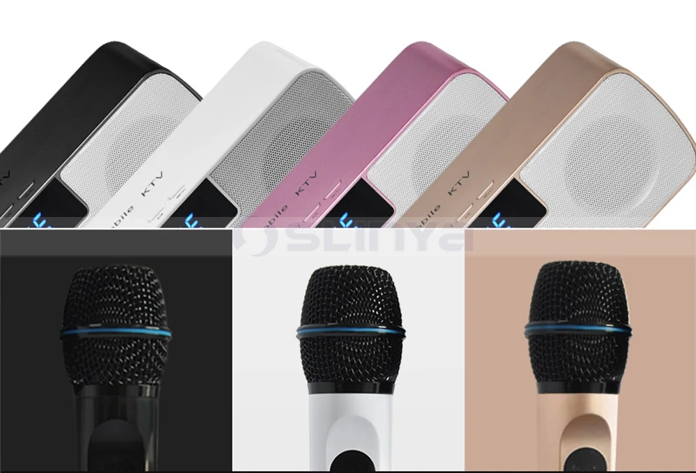 Speaker with wireless microphone 8040170721 (14)
