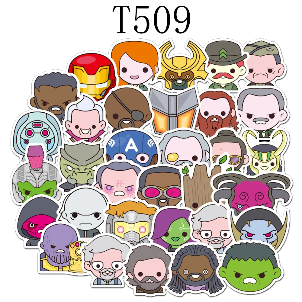 T509