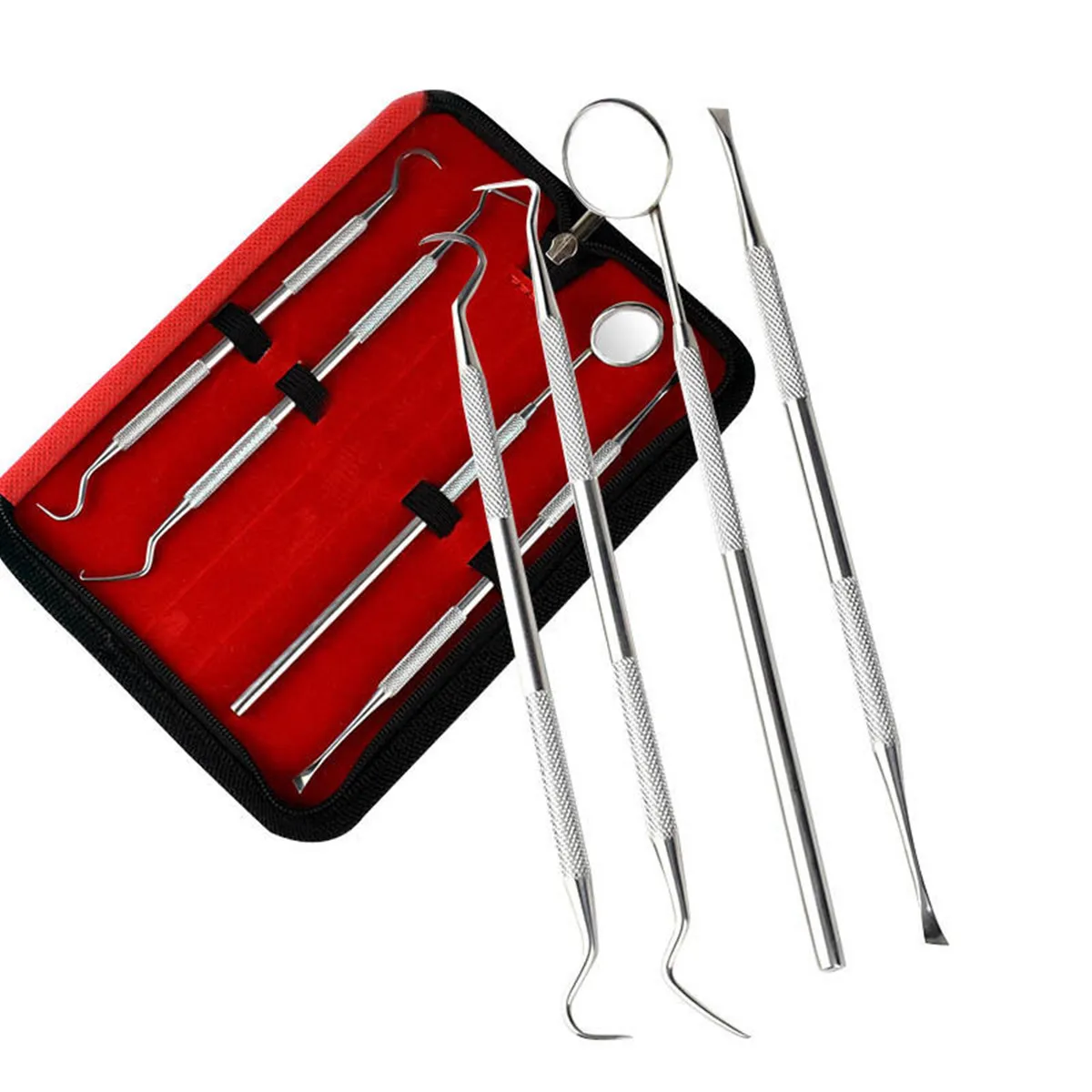Buy 4pcs Professional Stainless Steel Dental Tool