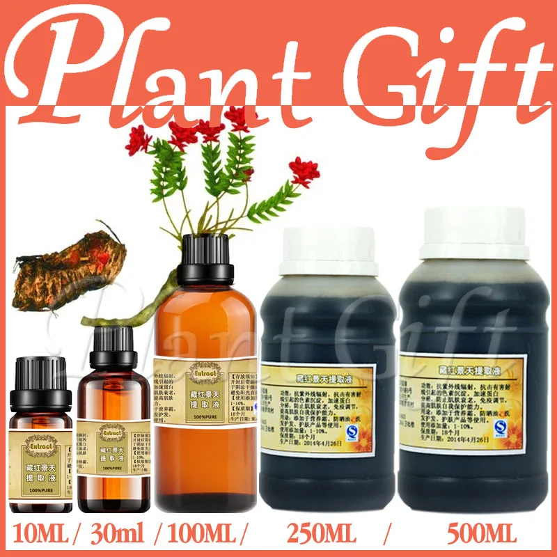 

Free shopping 100% plant material extracts herba rhodiolae extract moisturizing whitening skin care Tibetan Rhodiola rosea