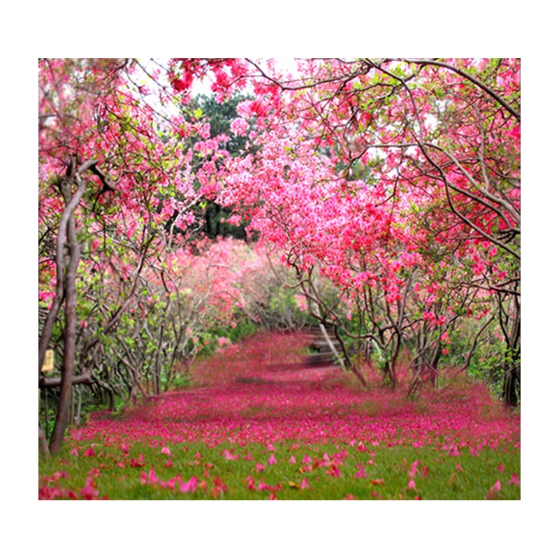 10X10ft плотный прочный водонепроницаемый тканевый фон для фотосъемки с принтом