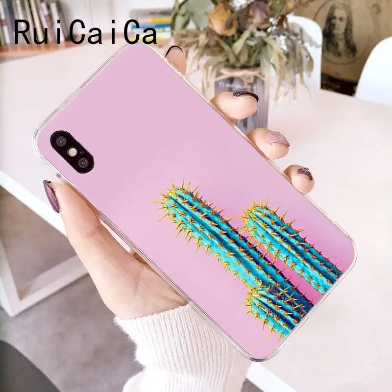 Candy Color Art Cactus Plant