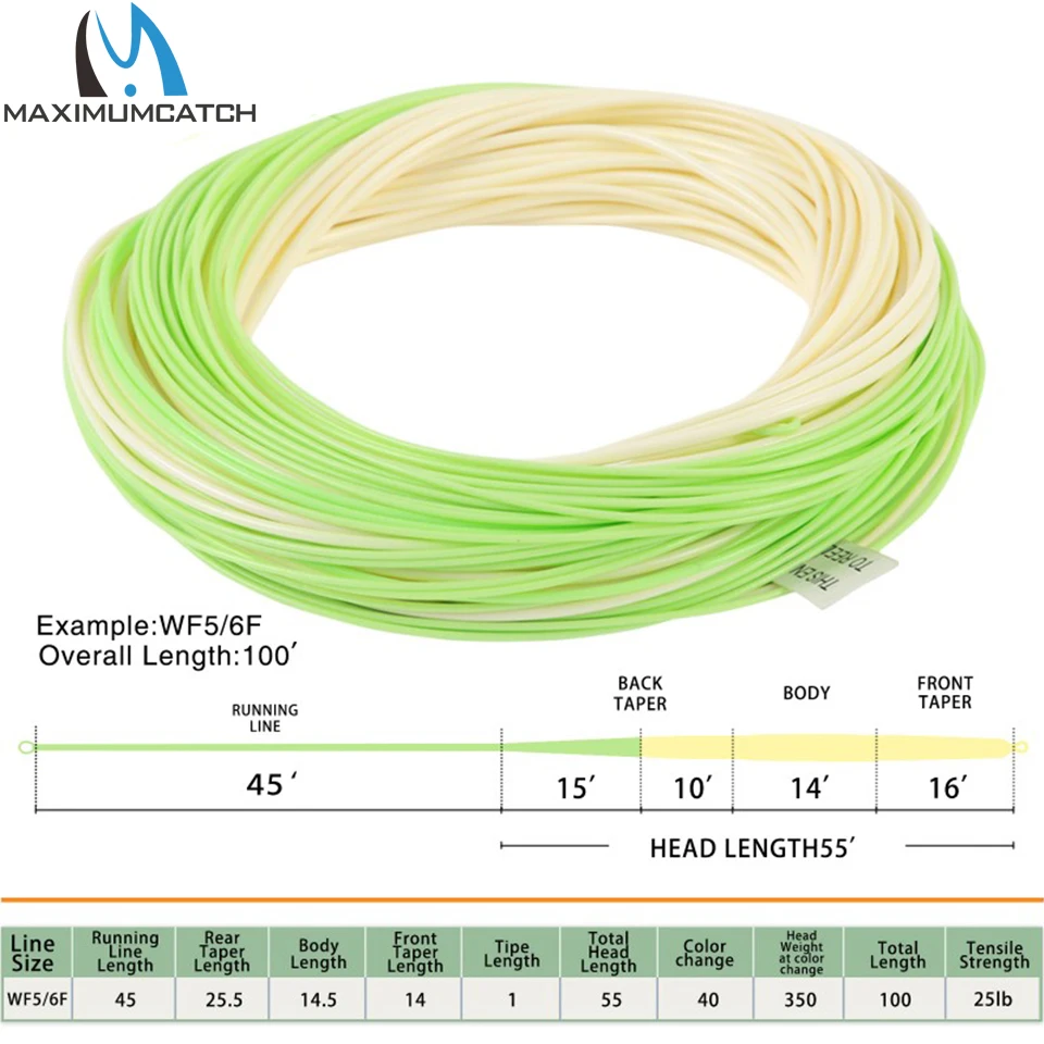 Maximumcatch 100FT التبديل صنارة صيد السمك بذبابة الصيد الصناعية مزدوجة اللون WF5-8WT الوزن إلى الأمام العائم يطير خط
