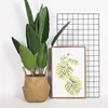 Garden Supplies