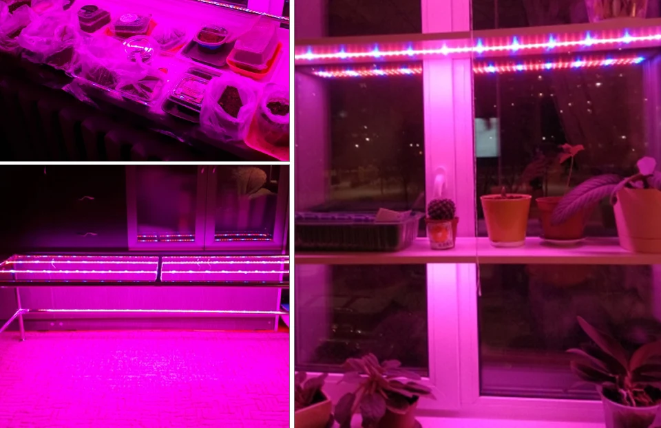 Светодиодный светать полный спектр 5 м Светодиодные полосы света набор затемнения цветочное растение Фито лампы для растений для теплицы