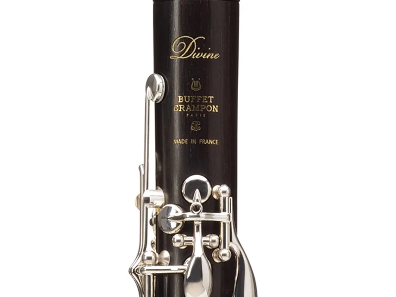 

Buffet Crampon Professional Bakelite Clarinet Divine Clarinets Bb Musical Instruments Mouthpiece Reeds Accessories