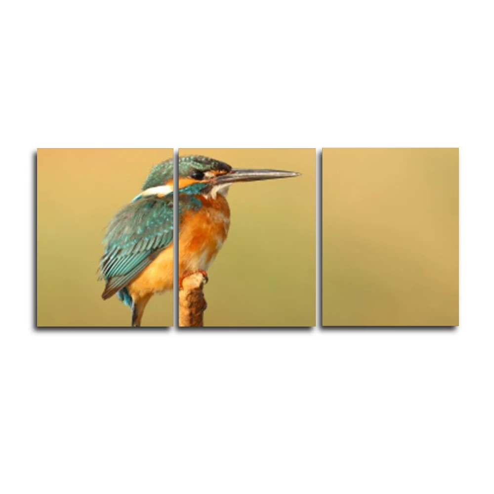 

Laeacco 3 Panel Color Bird Animal Posters and Prints HD Canvas Paintings Calligraphy Nordic Wall Artwork Home Living Room Decor