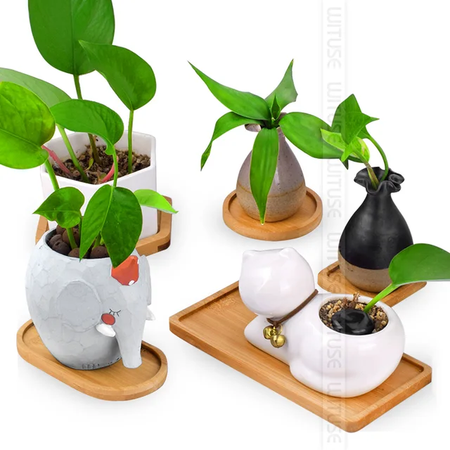 WITUSE Boutique Simple Home Square Tray Bamboo Flower Pot Tray Flower Pot Bonsai Flower Pots Water Tray Gardening Accessories