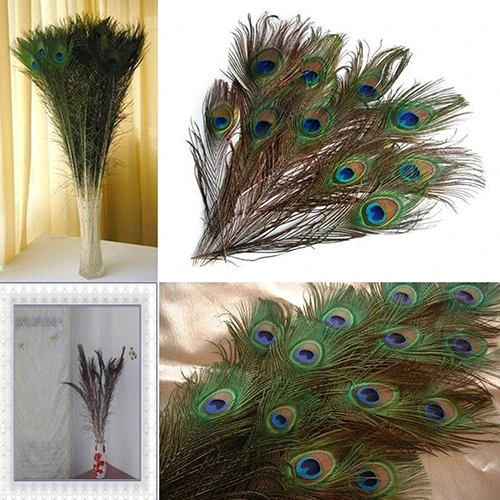 10 Pcs Cool Gifts Diy Peacock Eye Tail Feather For Masquerade
