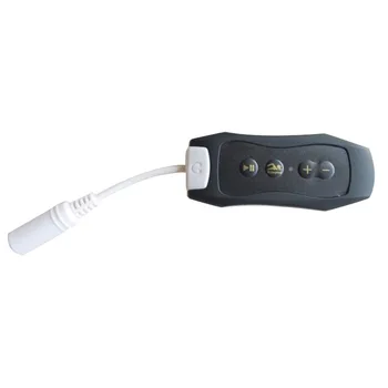 

DOITOP Sports Back Clip MP3 Waterproof Mp3 Player 4GB Swimming Pools FM Radio Music Player With Swimming Diving Earphone