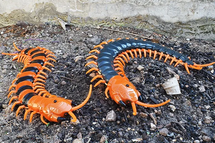 Novo Brinquedo Complicado Simulação Cobra Naja Novidade Controle Remoto Truque Terrível Travessura rc Snaker Jardim Adereços Ovo 2020 19 2019 novo brinquedo complicado simulação cobra naja