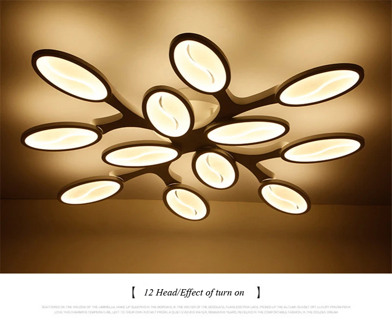 Post modern ceiling lamp (19)