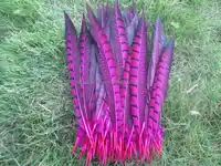 Wholesale 100pcs rose color pheasant feathers 25-30 cm 10-12 inches for wedding dance celebration DIY decoration
