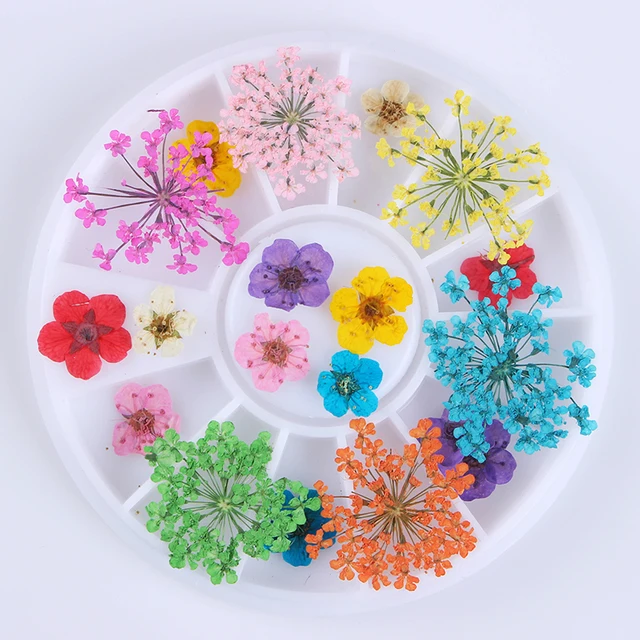 Aliexpress 1 Box Mixed Dried Flower Nail Decoration 1 Box Mixed Dried Flower Nail Decoration Diy Preserved Manicure Art