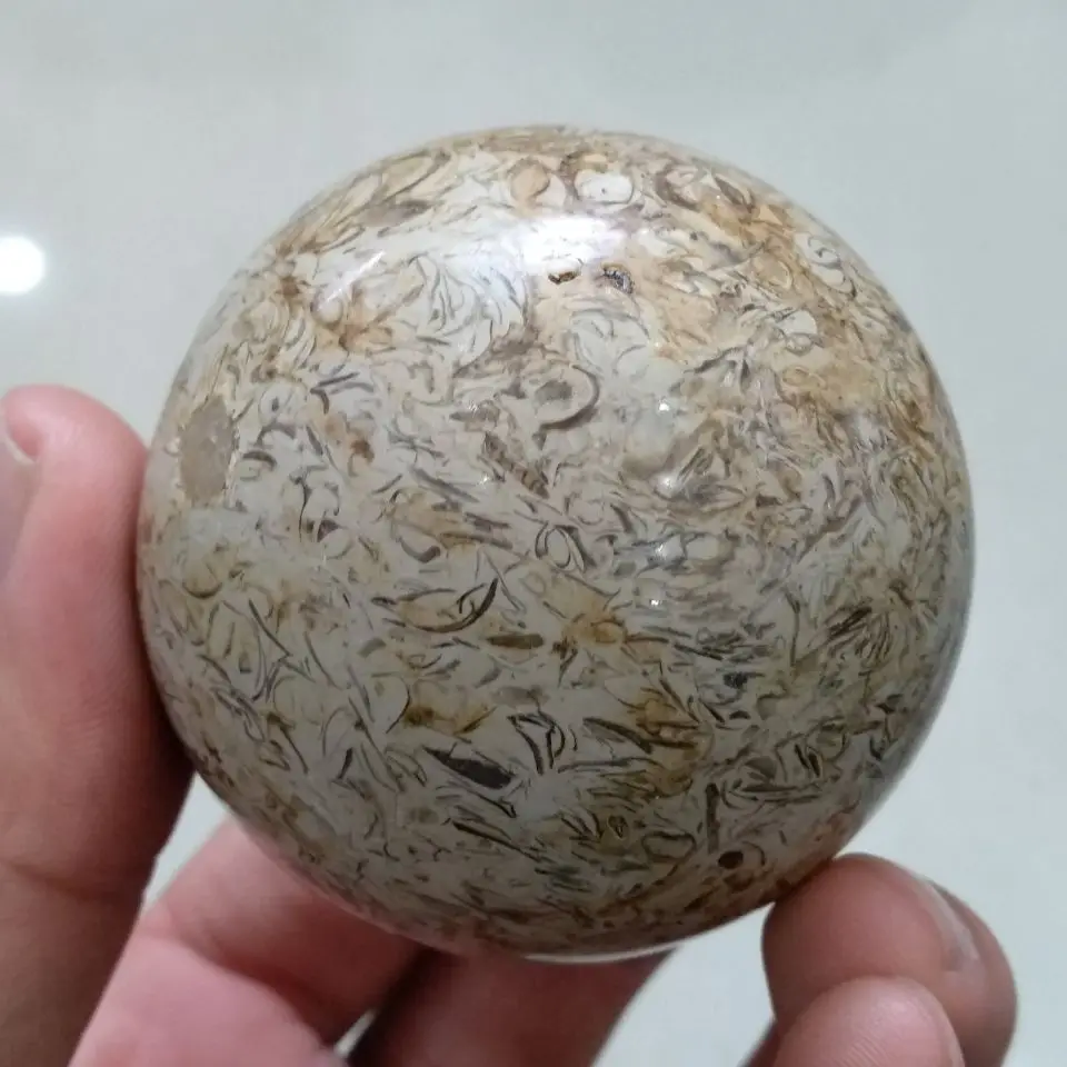 QQ20190416215928