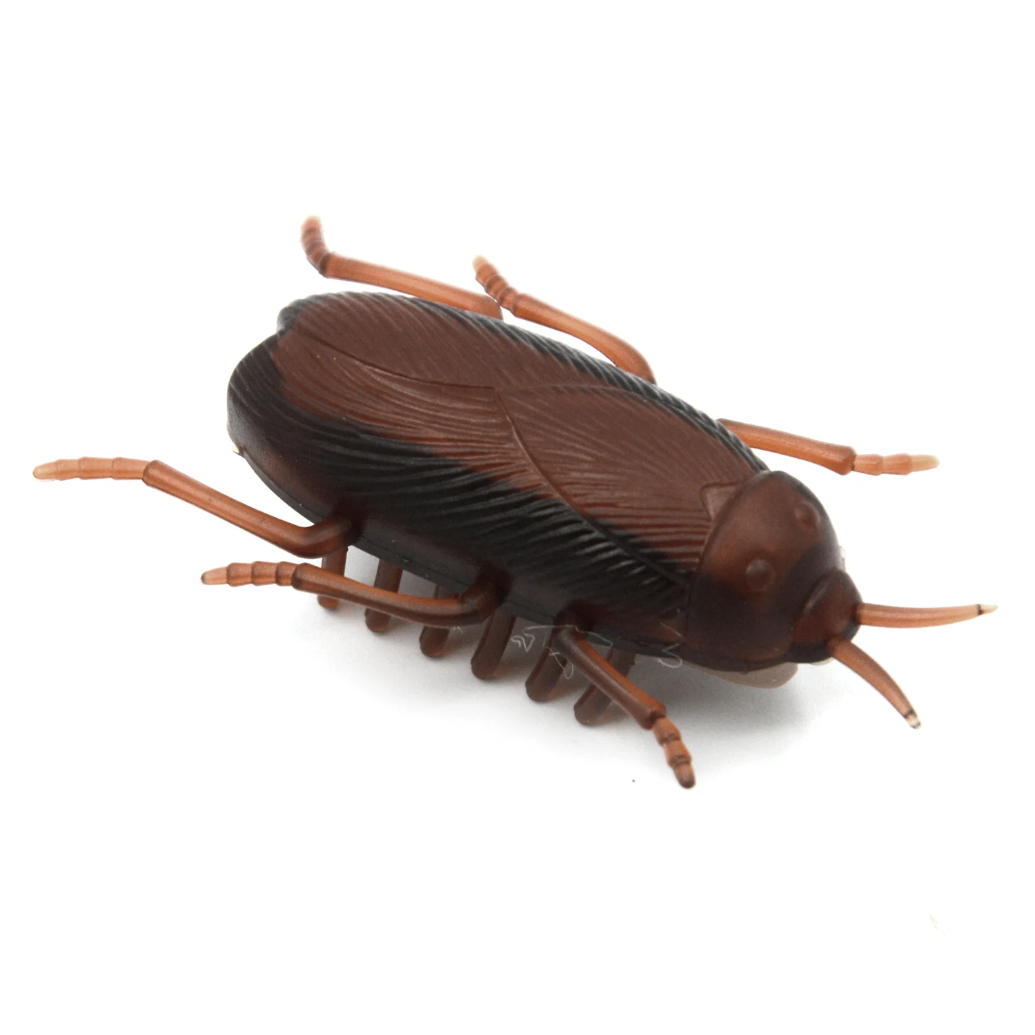 electronic cockroach toy