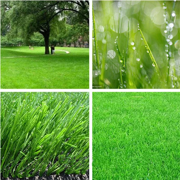 

Big Promotion 20000pcs High Quality Moss Lawn Grass bonsai for mini Home Garden Fresh Green Soft Runner Turfgrass Bonsai Plants